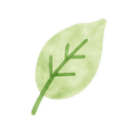 Growth